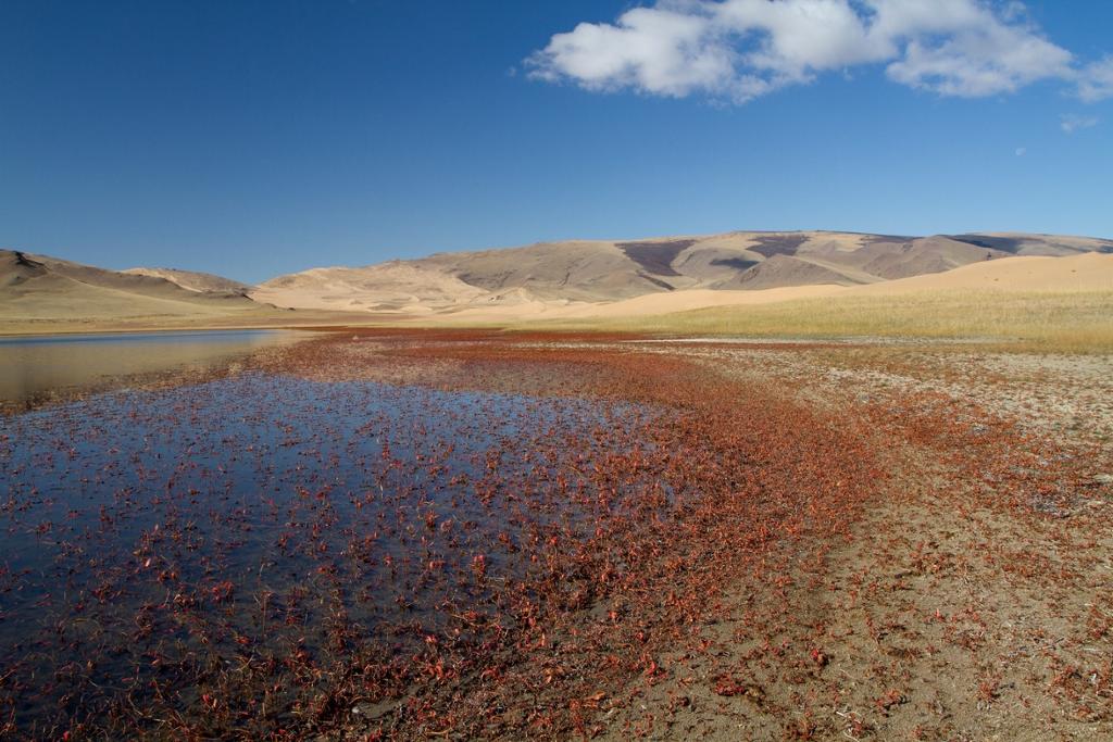 khar lake | Mongolia Travel Guide - Horseback Mongolia